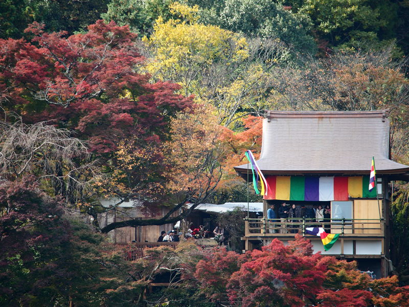 紅葉 京都 嵯峨嵐山 さぶかる日記